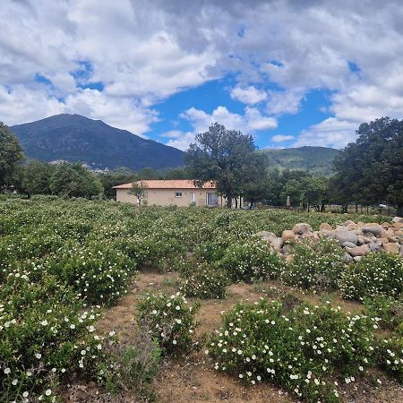 Vila Domaine U Filanciu - Casa Chiara - Centru Di Corsica Moltifao Exteriér fotografie
