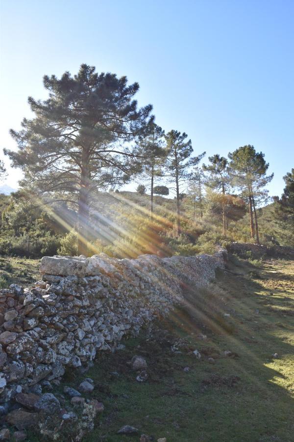 Vila Domaine U Filanciu - Casa Chiara - Centru Di Corsica Moltifao Exteriér fotografie